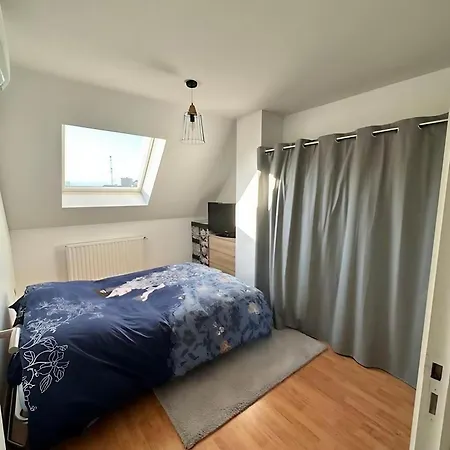 Superbe Duplex Proche Centre Parking Gratuit * Colmar