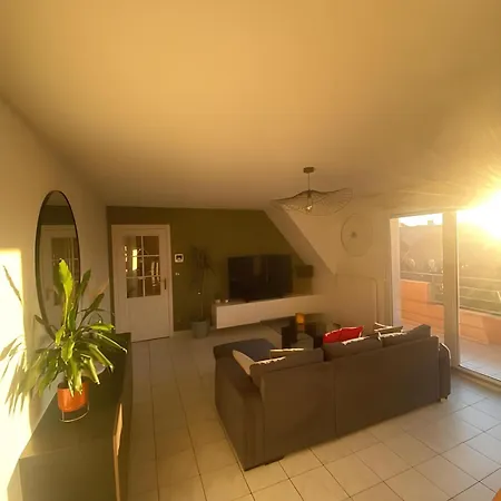 Superbe Duplex Proche Centre Parking Gratuit