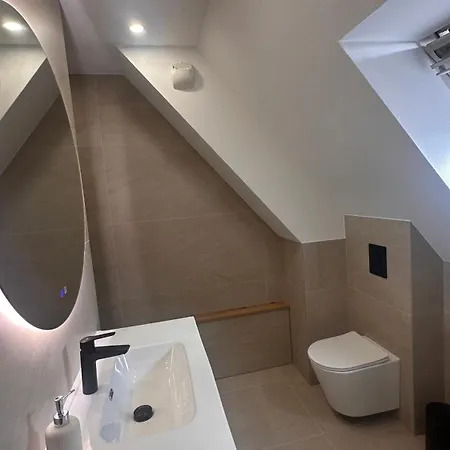 Apartament Superbe Duplex Proche Centre Parking Gratuit Colmar